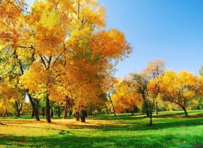 描写秋天风景的诗句 描写秋天的风景初中作文4篇