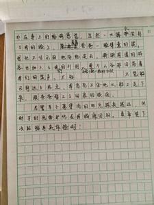 初一暑假作业答案2016 初一暑假作文素材400字三篇