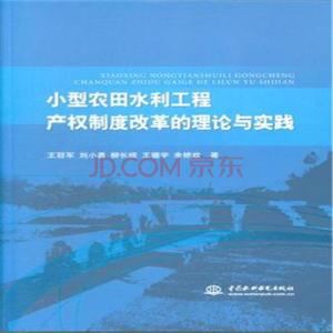 国有企业产权制度改革 试论国有企业产权制度改革的理论与实践