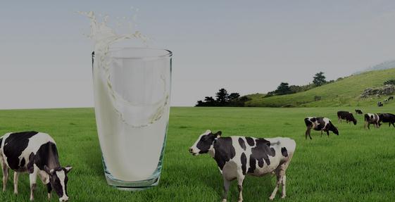 旺仔牛奶广告词 牛奶的电视宣传广告词