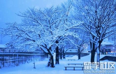 美丽的雪景作文 美丽的雪景六年级作文_关于美丽的雪景作文6篇