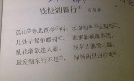 抒情散文300字 关于300字的抒情散文