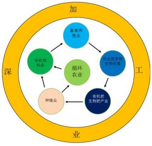 农业循环经济论文 中国循环农业思考论文