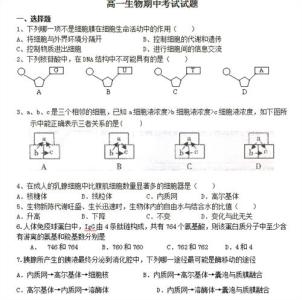 高一政治生活期中试题 高一政治必修二期中考试模拟试题