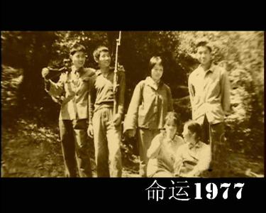 1971年11月属猪婚配 1971年11月属猪人命运