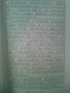 写苹果的作文300字数 读后感作文300字数