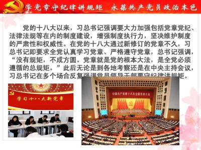 讲规矩守纪律心得体会 学党章守纪律讲规矩心得体会 学党章守纪律当先锋心得体会