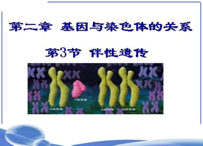 高二生物教学视频 怎样学好高二生物的方法