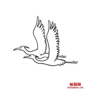 飞翔白鹭的画法 白鹭飞行的简笔画法