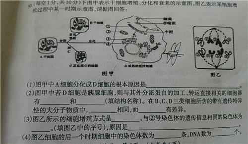 初一下册生物期中试题 初一上册生物《植物根的生长》测试试题