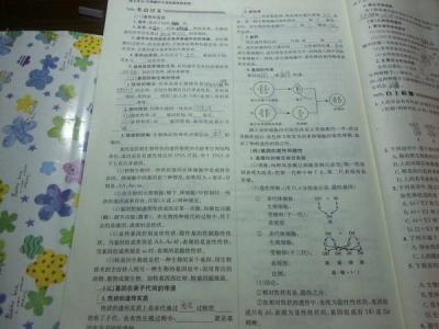 初二生物上册期末试卷 初二上册生物《动物的生殖》测试试卷