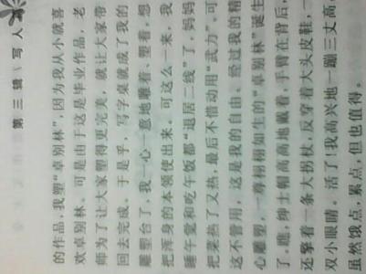 600字自我介绍作文小学 600字自我介绍作文