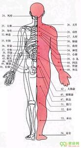 中医穴位养生 中医养生人体穴位