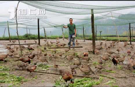 养殖创业网致富网 回乡创业养殖致富案例