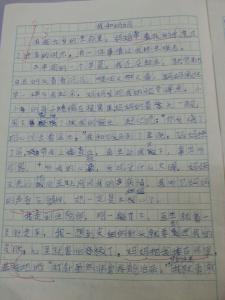 妈妈的爱优秀作文 我的妈妈小学的优秀作文