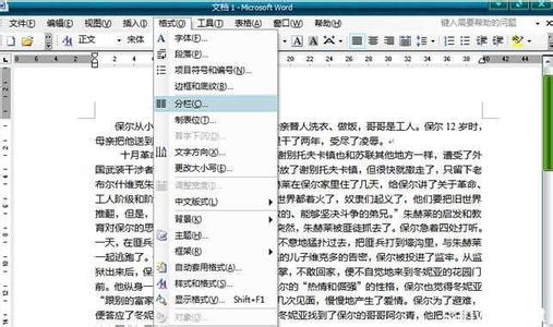 word2003分栏怎么设置 word2003如何设置分栏