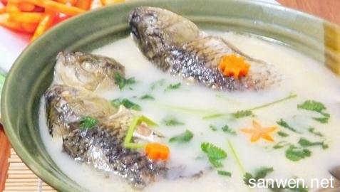 砂锅鲫鱼汤的做法 砂锅鲫鱼汤8种美味的做法