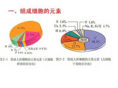 细胞中的元素与化合物 细胞中的元素和化合物