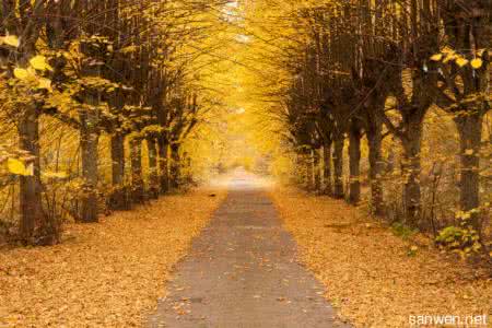 关于美景的优美句子 描写秋季的优美句子 形容秋季美景的优美句子