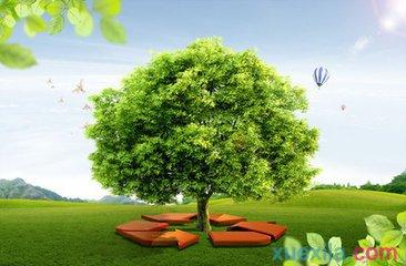 保护生态环境议论文 生态环境保护的议论文4篇