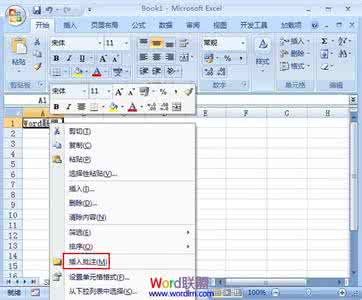 如何更改批注作者 Excel2007中批注更改插入作者名称的操作方法