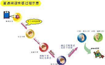 右脑学习模式,练习快速阅读
