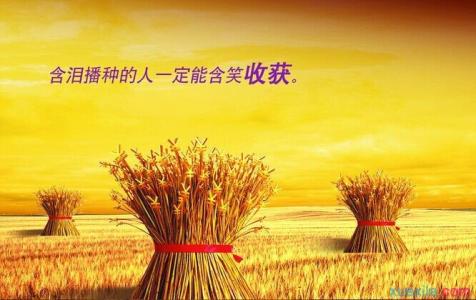 播种与收获话题作文 播种于收获700字话题作文