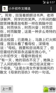 小升初自荐书范文精选 小升初作文范文精选