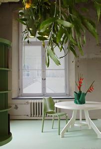 国外家居装饰植物 如何选择正确的植物来装饰家居