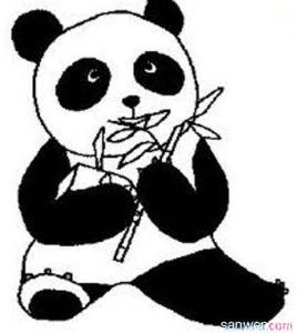 儿童画画熊猫 儿童画画的熊猫图片