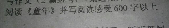 读高尔基的童年有感 高尔基童年读后感600字_读童年有感600字