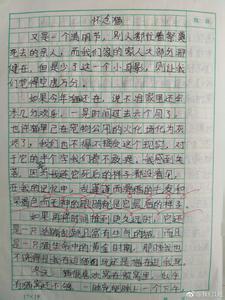 优秀范文800字 我家的猫作文800字优秀范文3篇