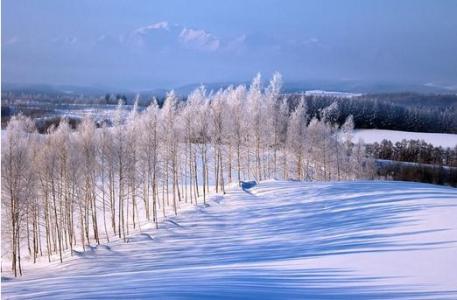 冬天散文诗欣赏 七篇 关于冬天的经典散文欣赏
