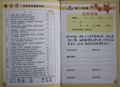 小学学生综合素质评语 小学综合素质评价评语