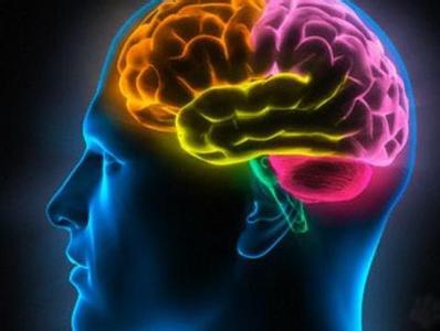 大脑反应迟钝记忆力差 大脑反应迟钝记忆力差的原因