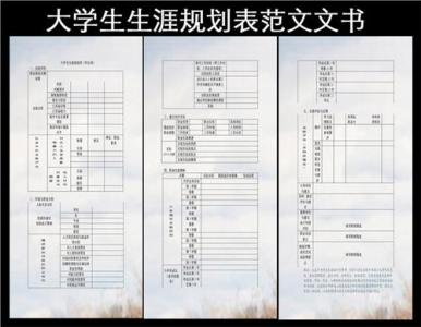 职业生涯规划书范文 职业规划论文5000 职业生涯规划书范文