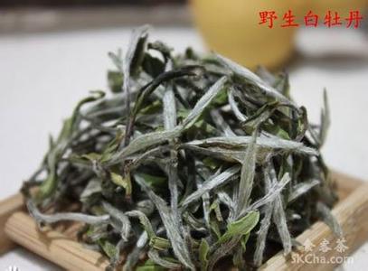 白牡丹茶 白牡丹茶的制作工艺