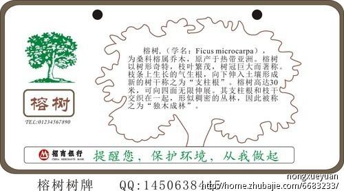 说明文作文600字写物品 事物说明文600字