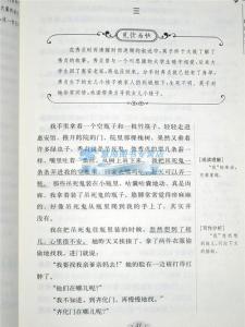 城南旧事好词好句摘抄 《城南旧事》的好句好段摘抄