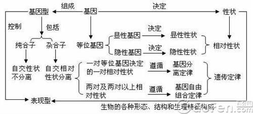 高中生物基因突变 高中生物基因突变知识梳理