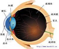 干眼病是怎么回事 干眼病是怎么形成的