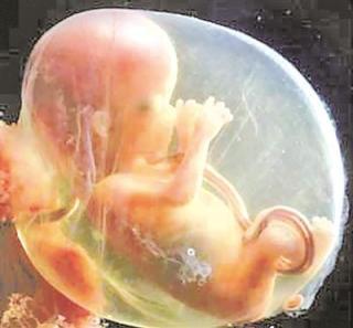 胎盘脱离 　　在胎盘从子宫脱离以及脱离之后的短时间内，所有的产妇都会有