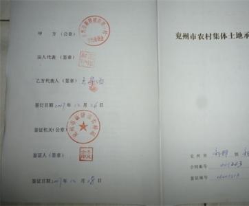 集体土地承包合同范本 农村集体土地承包合同范本