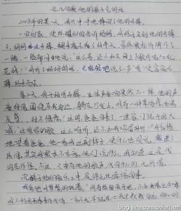 隐形的翅膀作文800字 隐形的翅膀作文800字范文5篇