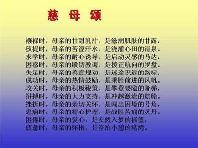 感悟美丽800字记叙文 感悟美丽作文800字