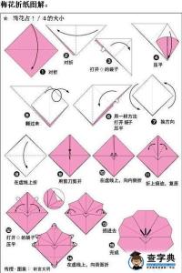 简单折纸花大全图片 幼儿简单折纸花大全图解