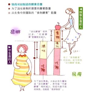 怎么变成易瘦体质 如何利用酵素变成易瘦体质