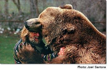 世界上最大的棕熊记录 世界上最大的棕熊