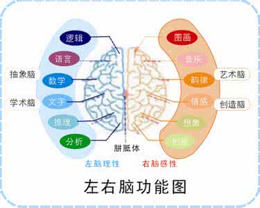 右脑记忆开发 开发右脑记忆的方法