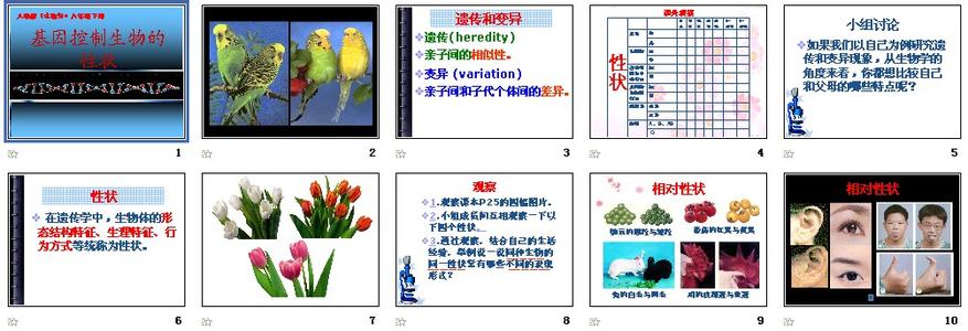 基因控制生物性状教案 基因控制生物性状优秀教案